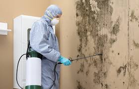 Best Mold Prevention Services  in Old Westbury, NY